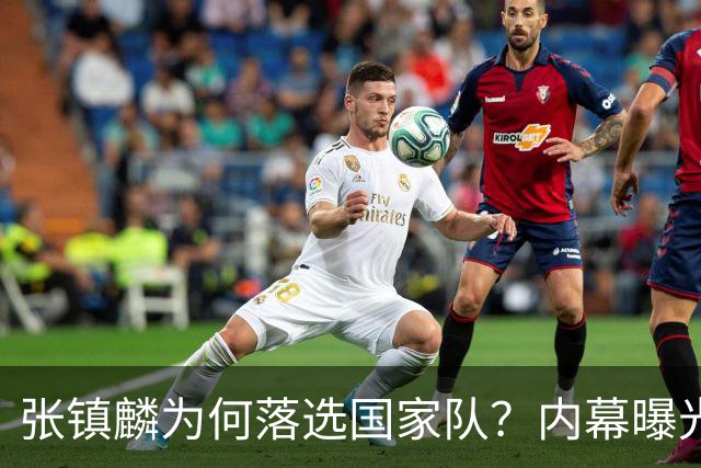 张镇麟为何落选国家队？内幕曝光，叫人心疼，郭士强并没放弃他